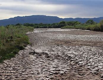 Read more about the article Climate Change in NM “I Have A Lot of Faith in New Mexico:” Interview with Environmental Reporter Laura Paskus