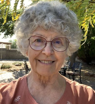 Read more about the article Diana Shea | Treasurer