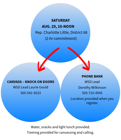 Saturday Aug 29 Canvass and Phone Bank Schedule